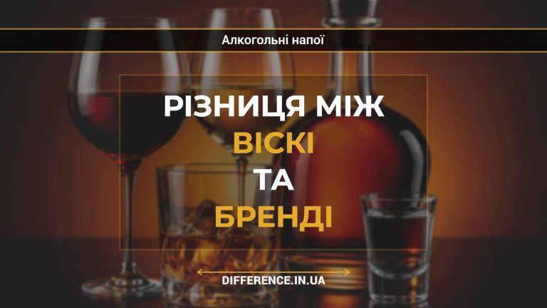 Різниця між віскі та бренді