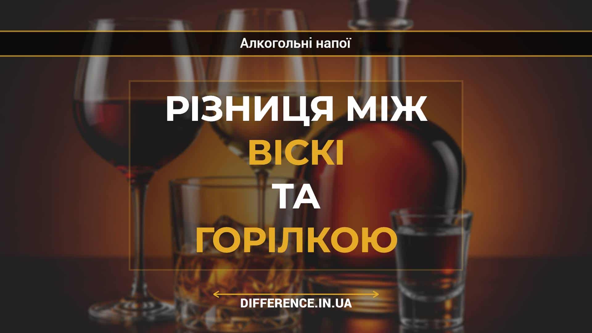 Різниця між віскі та горілкою
