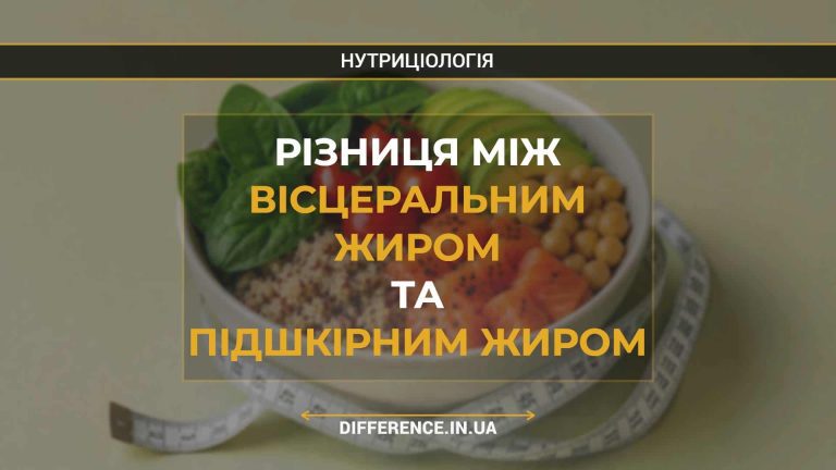 Різниця між вісцеральним жиром та підшкірним жиром (1)