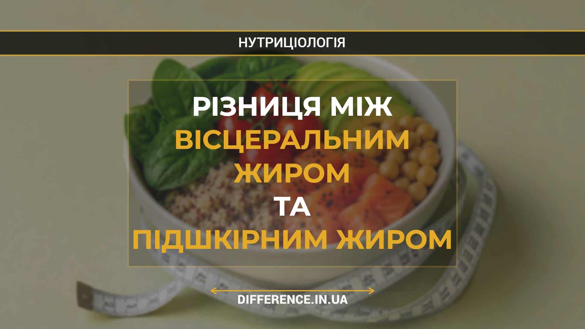 Різниця між вісцеральним жиром та підшкірним жиром (1)