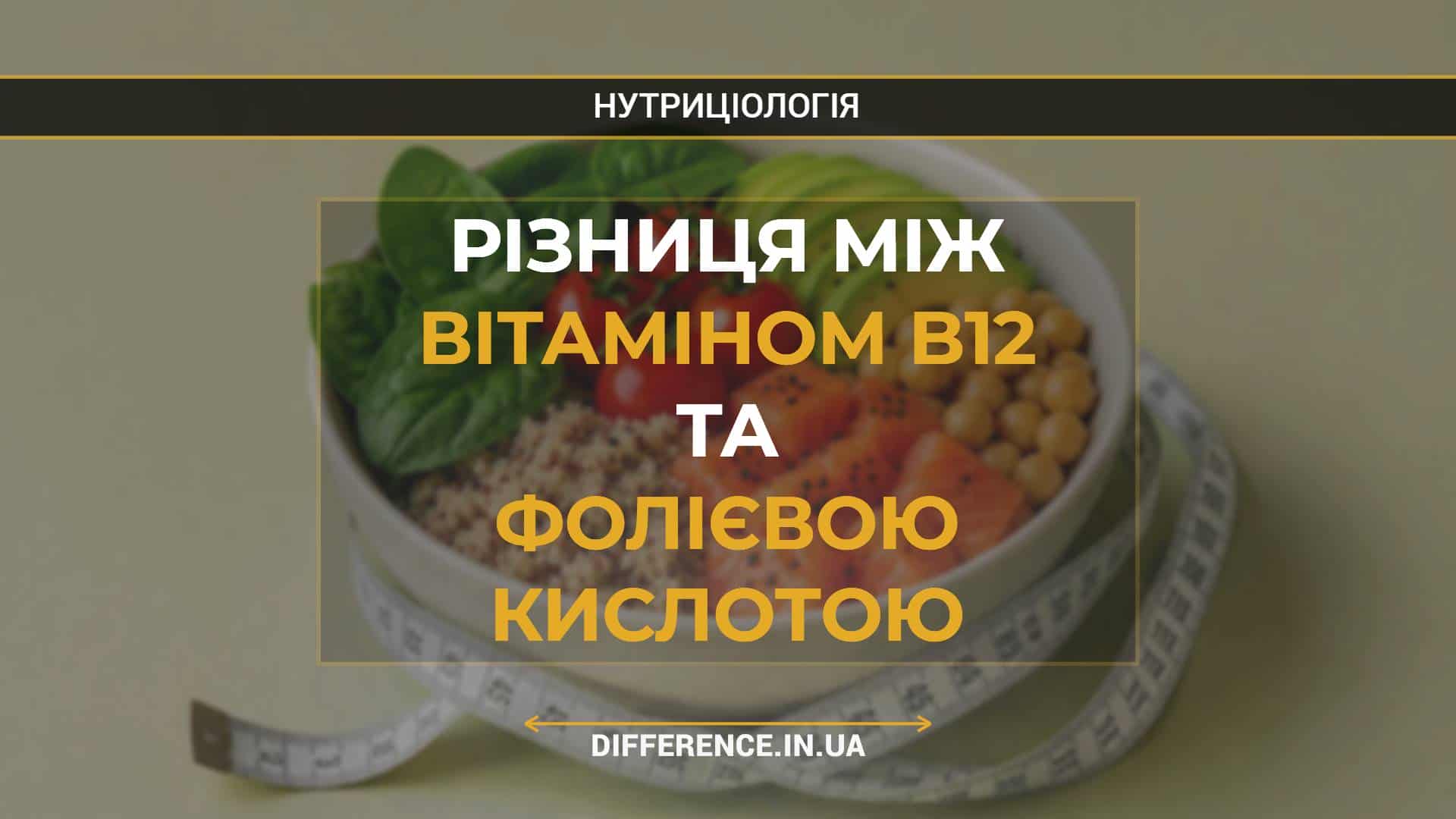 Різниця між вітаміном B12 та фолієвою кислотою