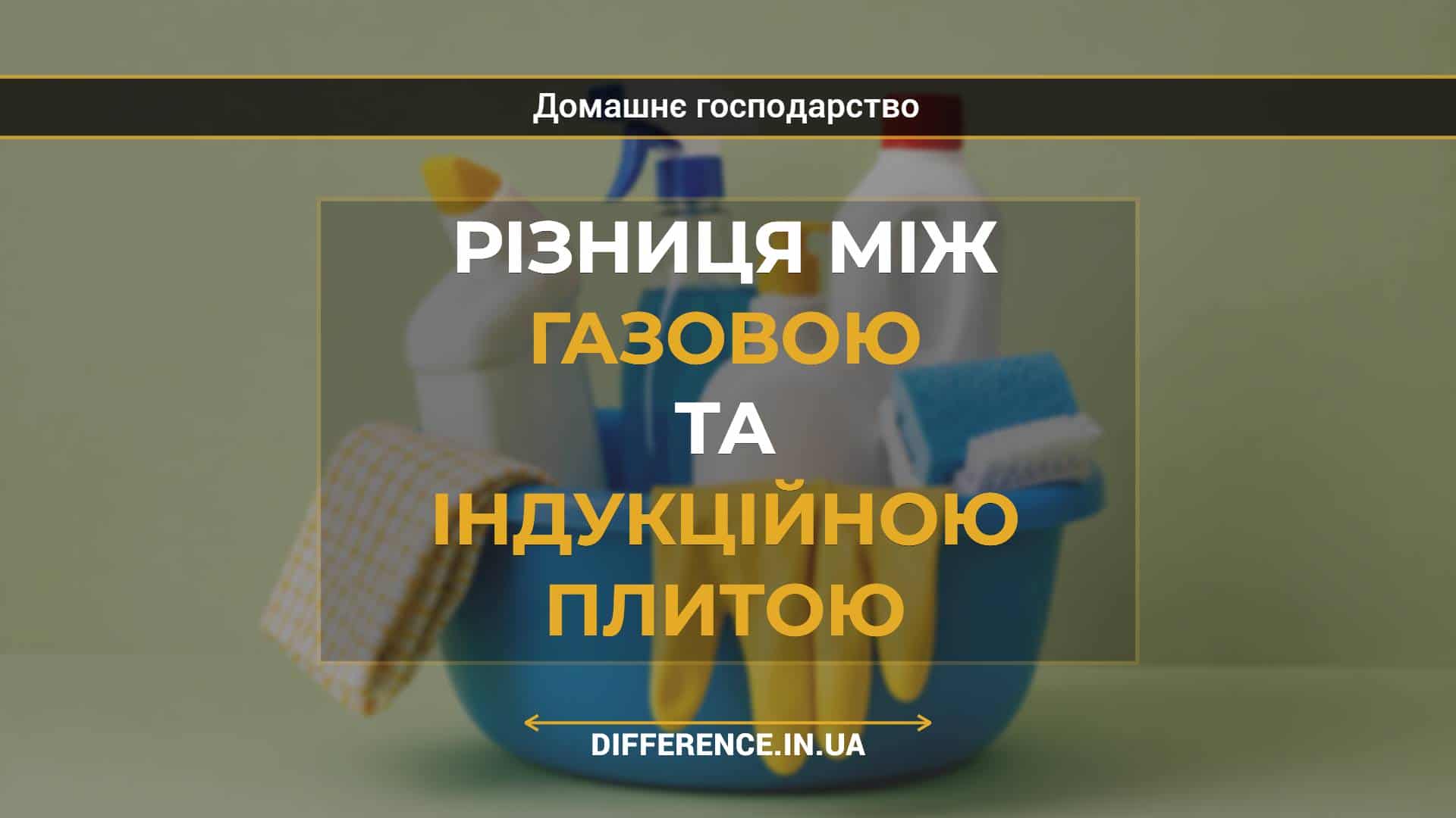 Різниця між газовою та індукційною плитою