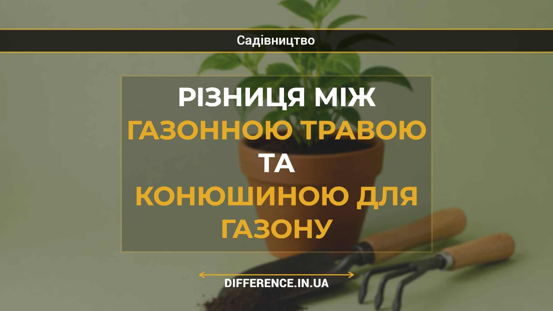 Різниця між газонною травою та конюшиною для газону