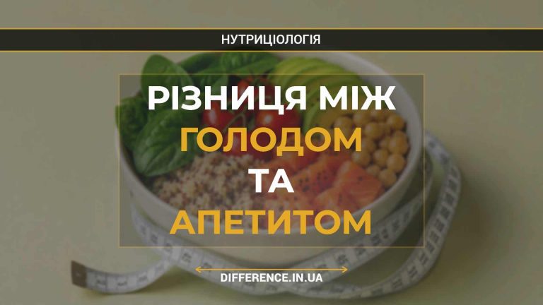 Різниця між голодом та апетитом