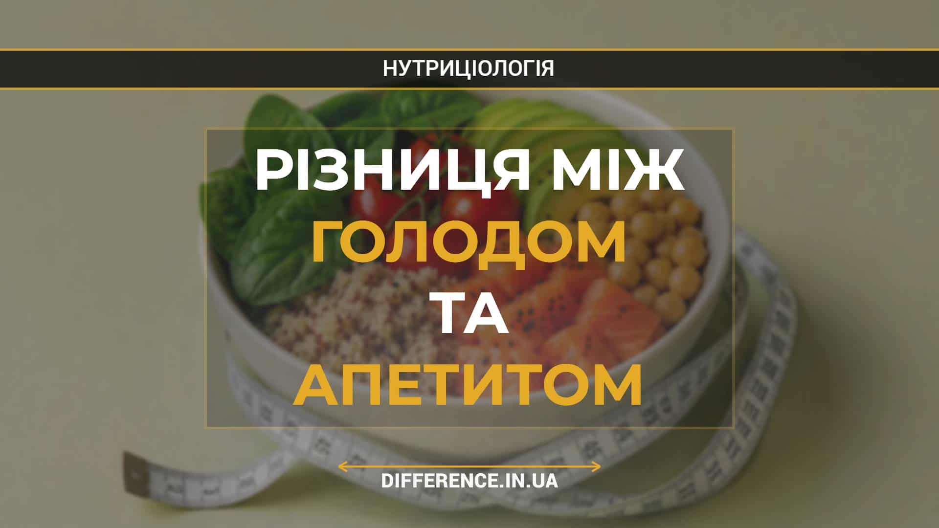 Різниця між голодом та апетитом