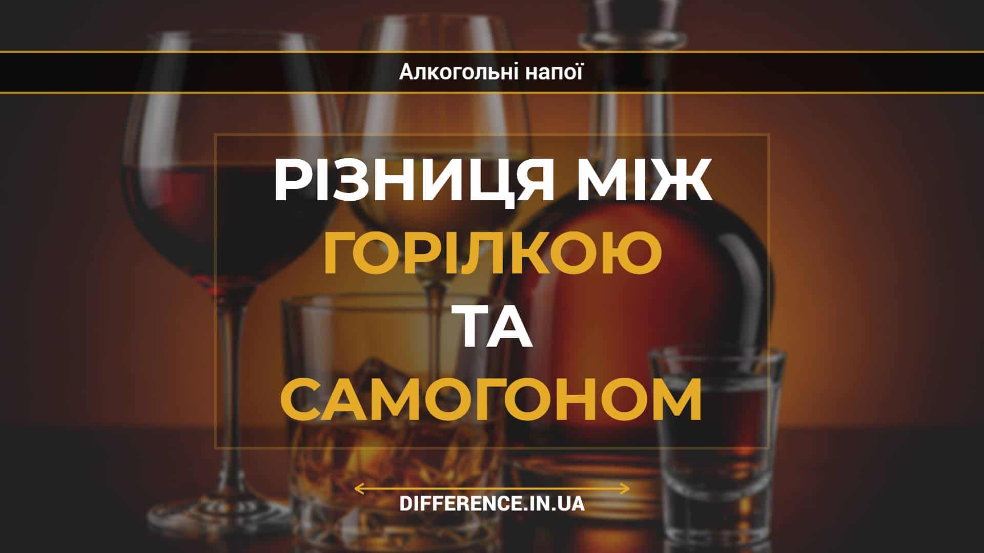 Різниця між горілкою та самогоном