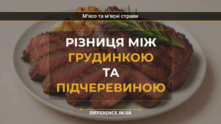 Різниця між грудинкою та підчеревиною