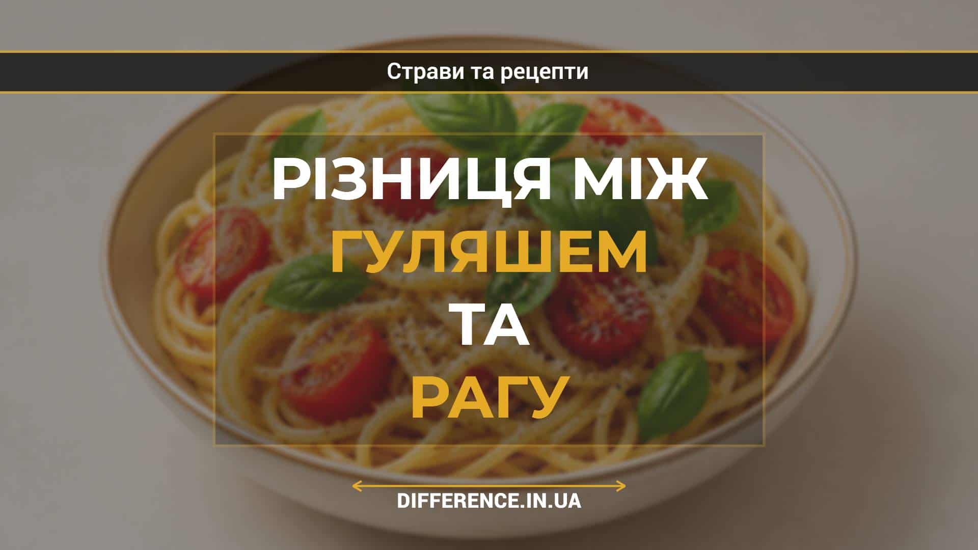 Різниця між гуляшем та рагу