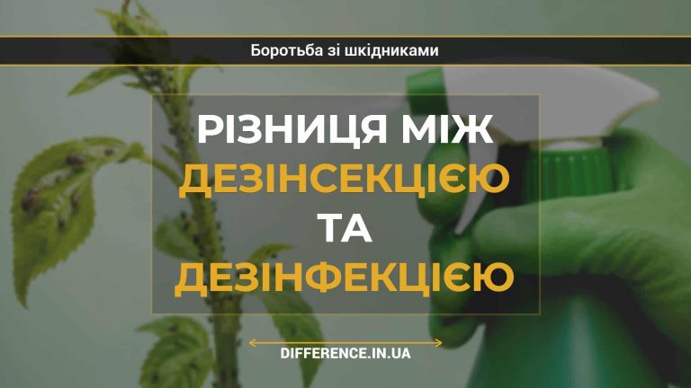 Різниця між дезінсекцією та дезінфекцією