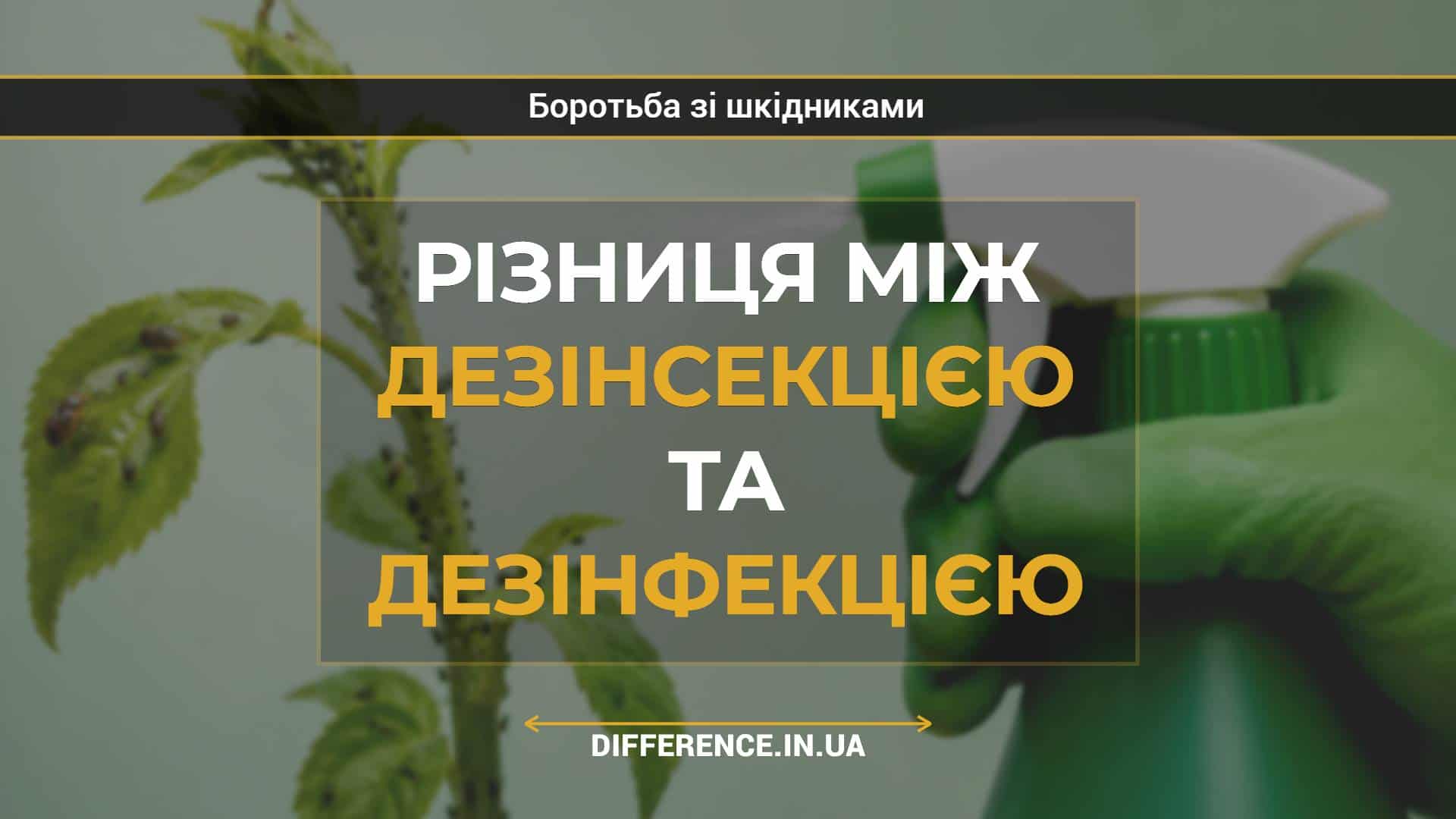 Різниця між дезінсекцією та дезінфекцією