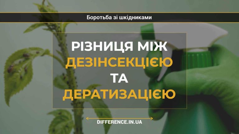 Різниця між дезінсекцією та дератизацією