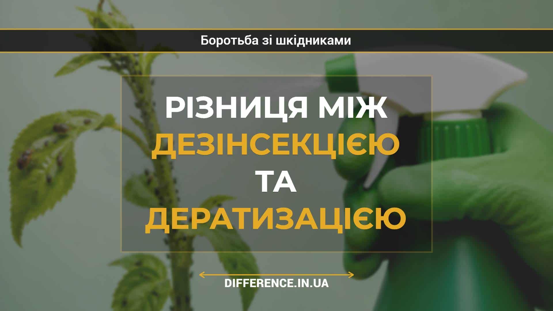 Різниця між дезінсекцією та дератизацією