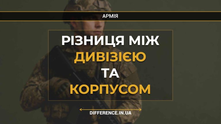 Різниця між дивізією та корпусом