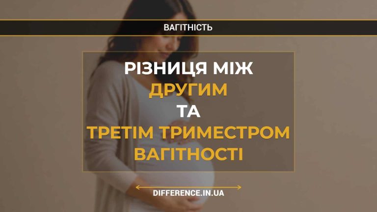 Різниця між другим та третім триместром вагітності