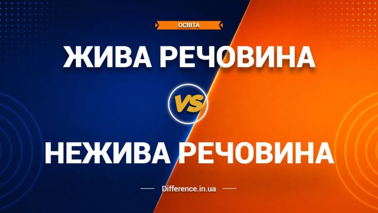 Різниця між живою та неживою речовиною