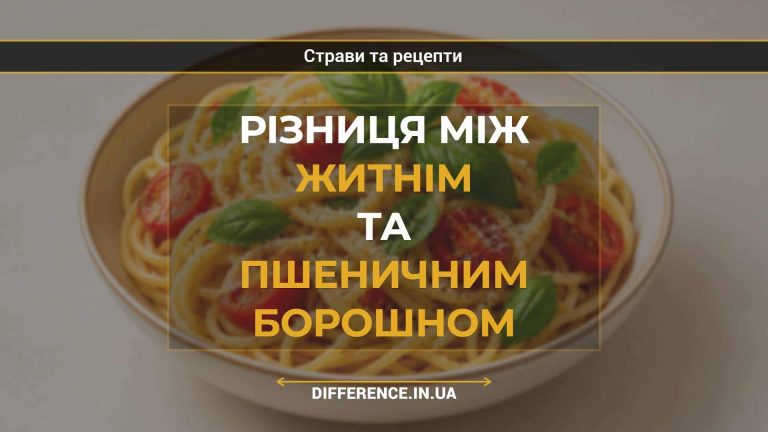Різниця між житнім та пшеничним борошном