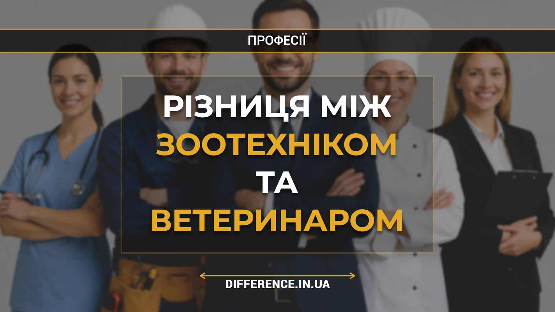 Різниця між зоотехніком та ветеринаром