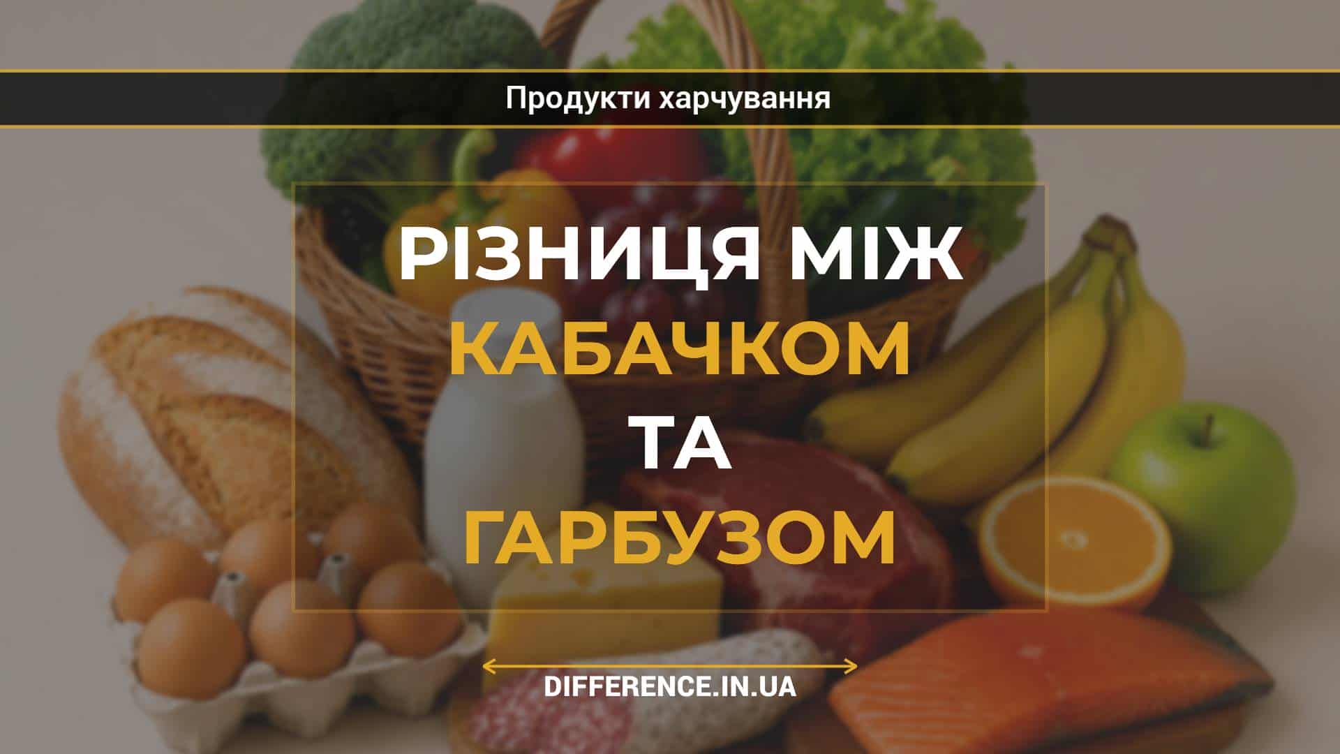 Різниця між кабачком та гарбузом