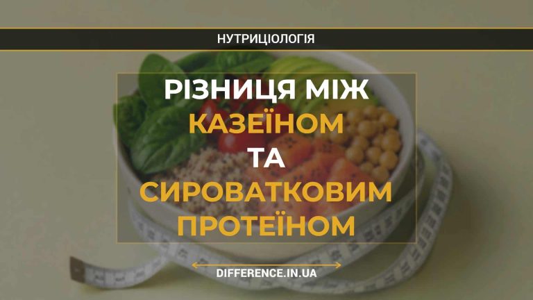 Різниця між казеїном та сироватковим протеїном
