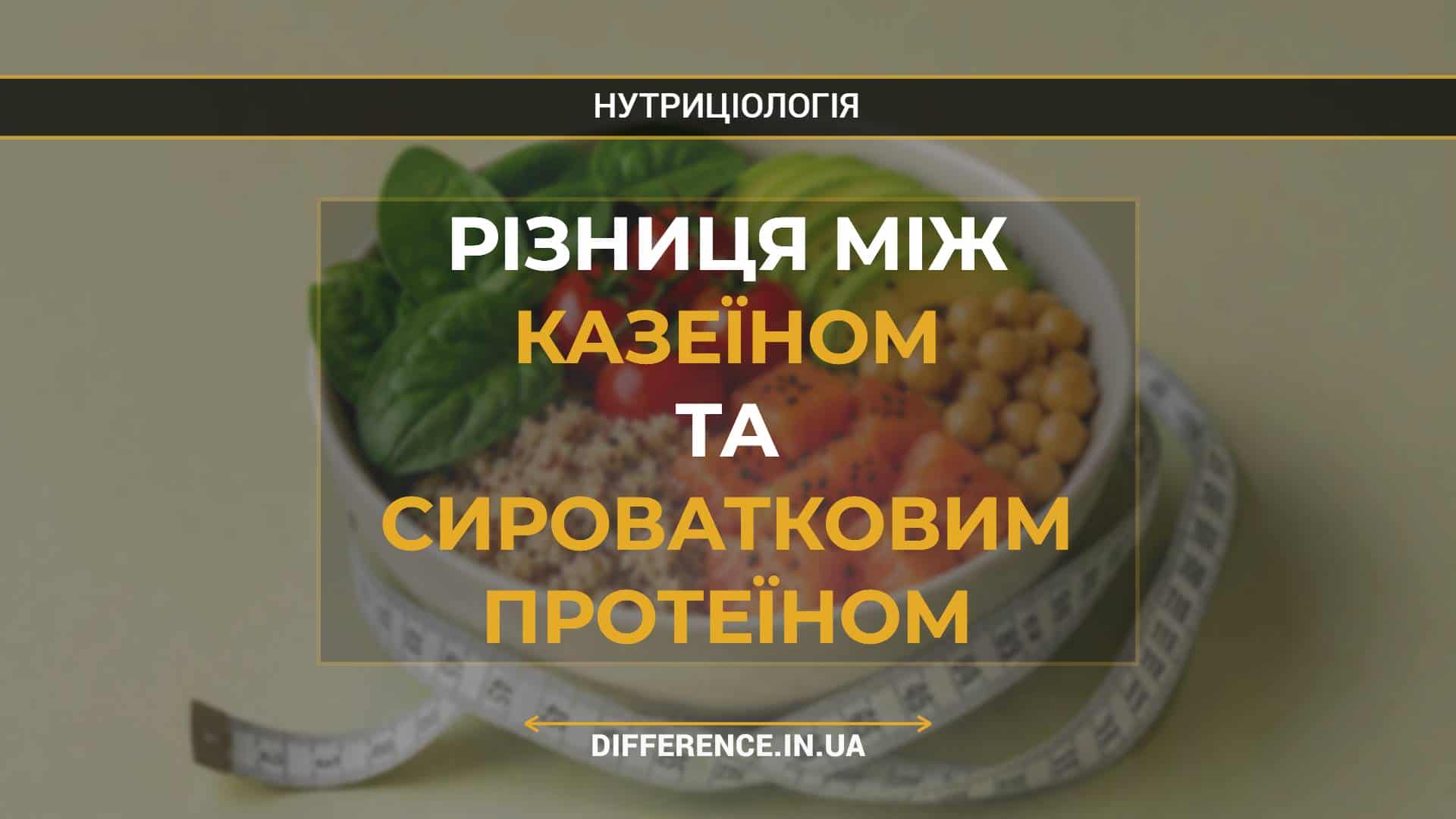Різниця між казеїном та сироватковим протеїном