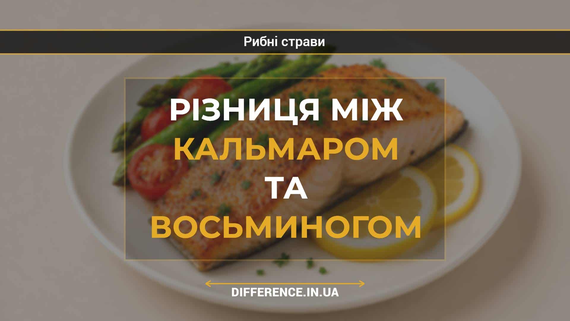 Різниця між кальмаром та восьминогом