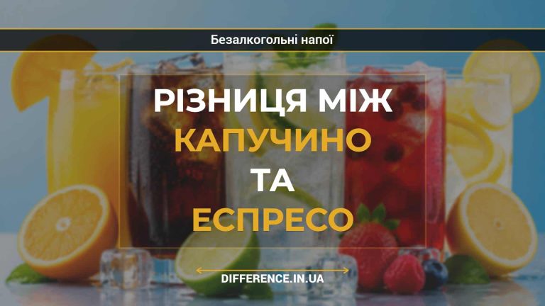 Різниця між капучино та еспресо