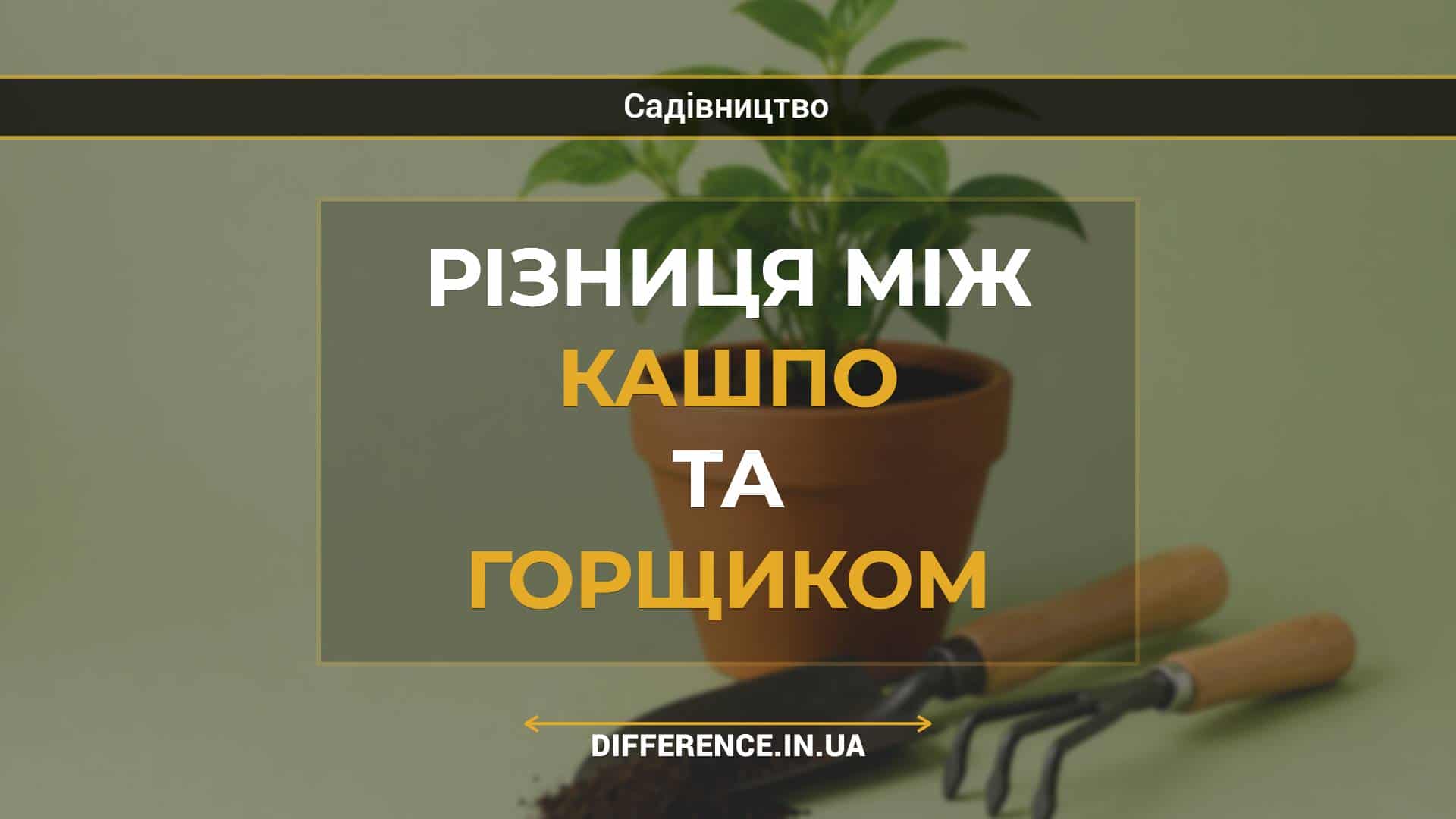 Різниця між кашпо та горщиком