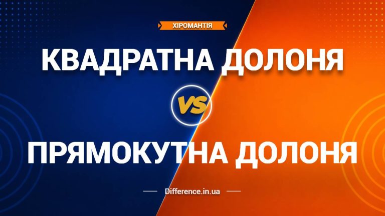 Різниця між квадратною долонею та прямокутною долонею