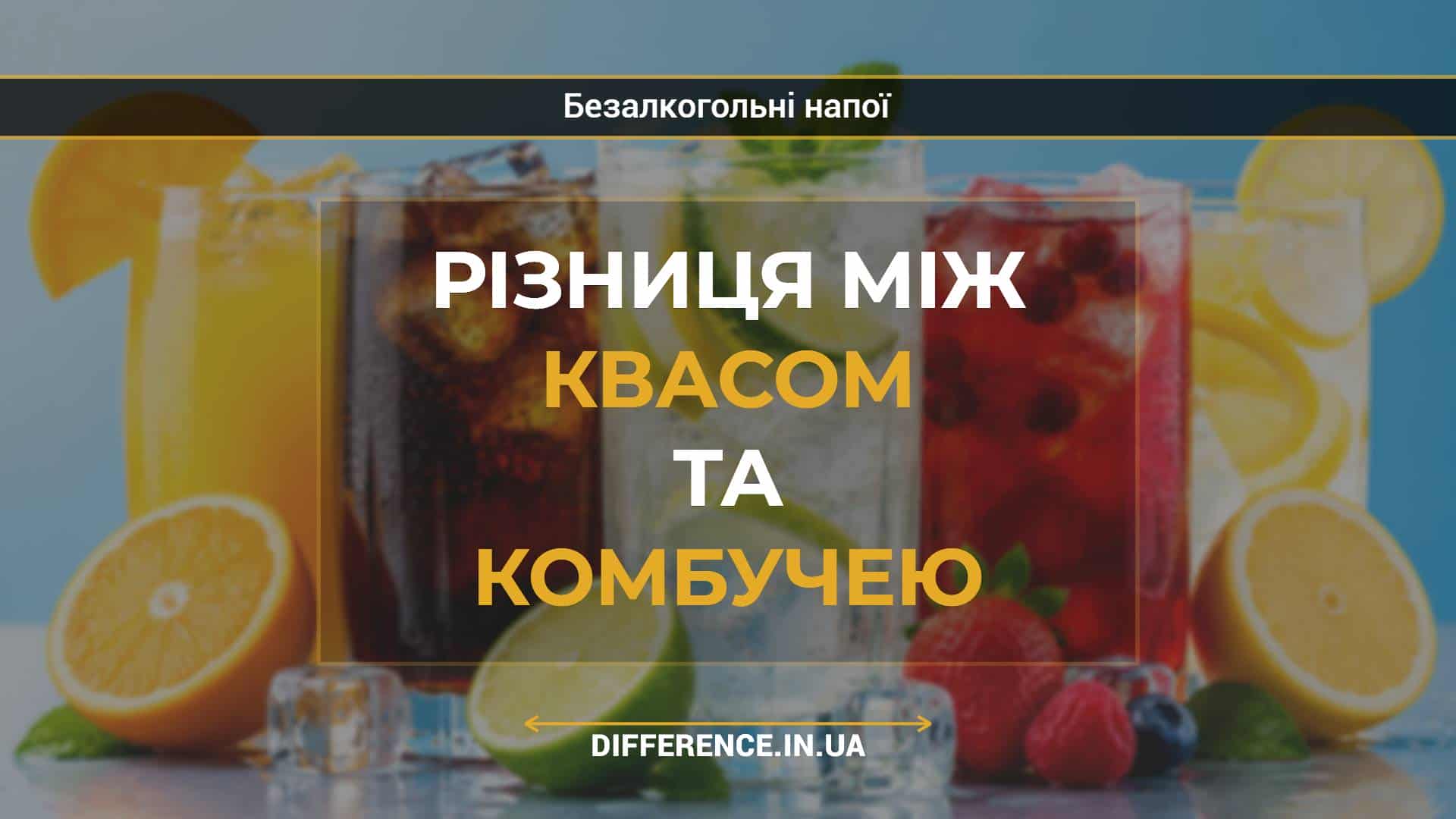 Різниця між квасом та комбучею