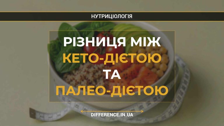 Різниця між кето-дієтою та палео-дієтою