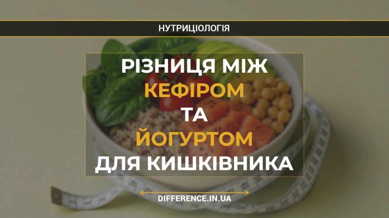 Різниця між кефіром та йогуртом для кишківника