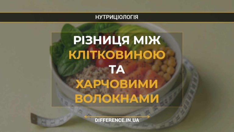 Різниця між клітковиною та харчовими волокнами