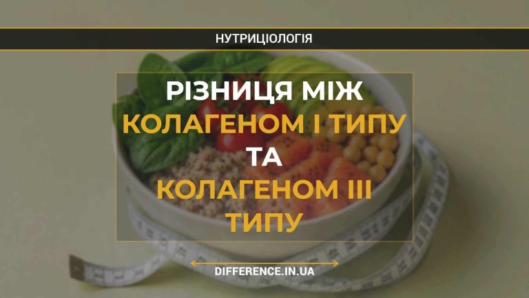 Різниця між колагеном І типу та колагеном ІІІ типу