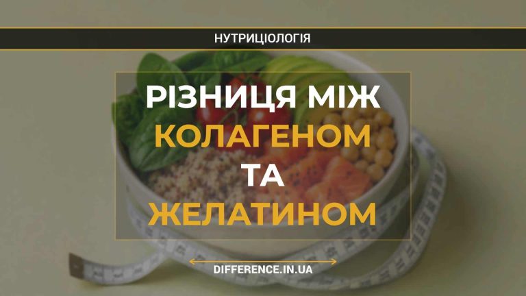 Різниця між колагеном та желатином
