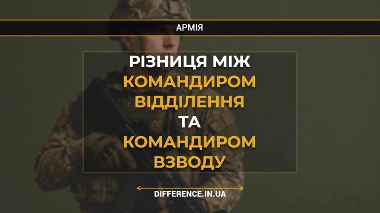 Різниця між командиром відділення та командиром взводу