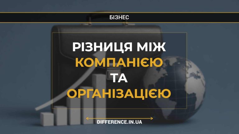 Різниця між компанією та організацією