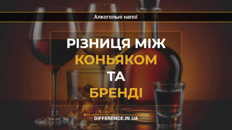 Різниця між коньяком та бренді