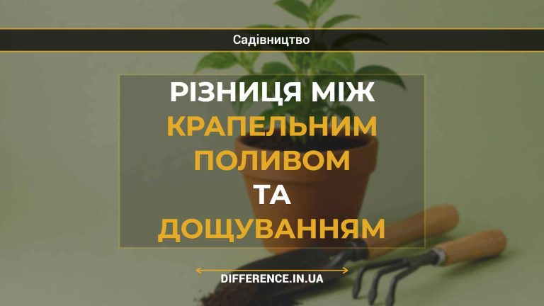 Різниця між крапельним поливом та дощуванням