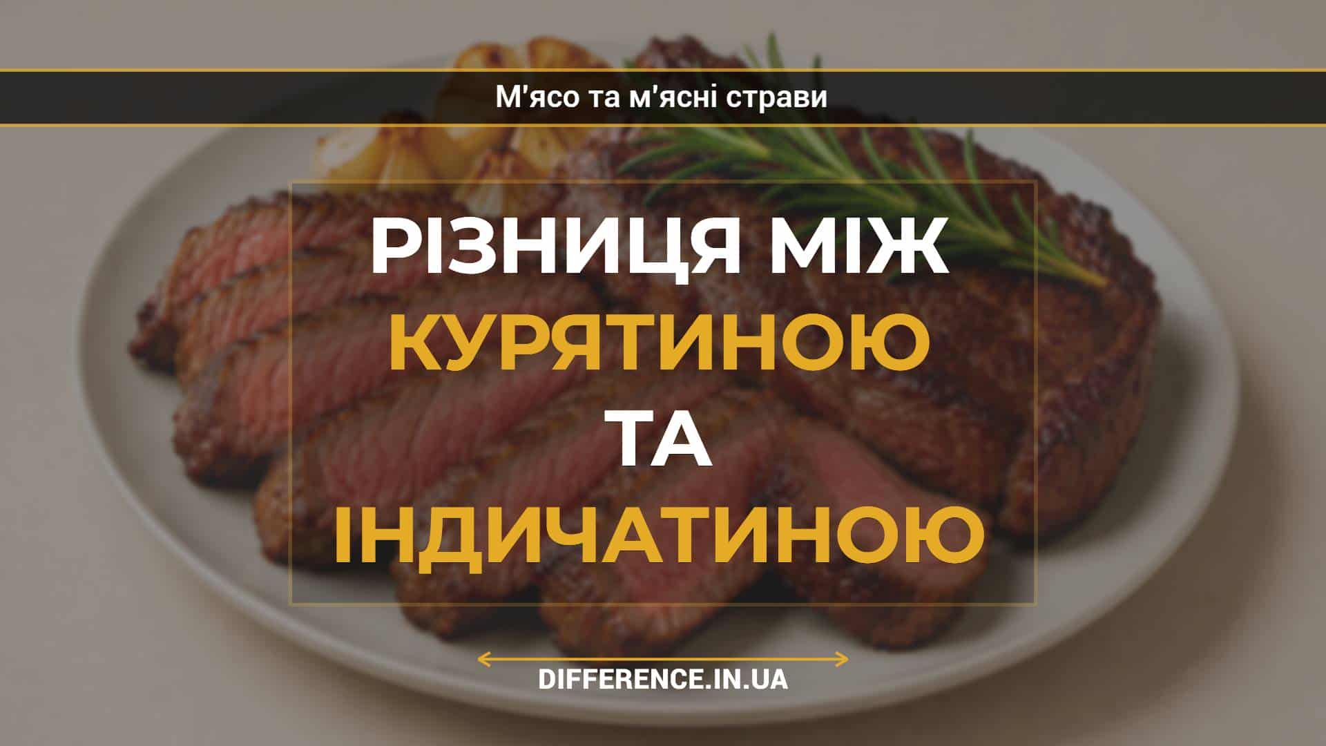 Різниця між курятиною та індичатиною