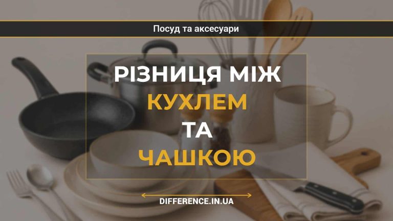 Різниця між кухлем та чашкою