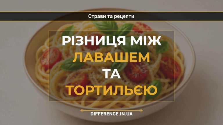 Різниця між лавашем та тортильєю
