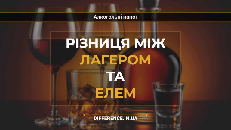 Різниця між лагером та елем