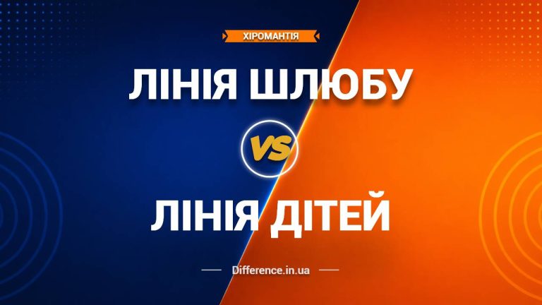 Різниця між лінією Шлюбу та лінією Дітей