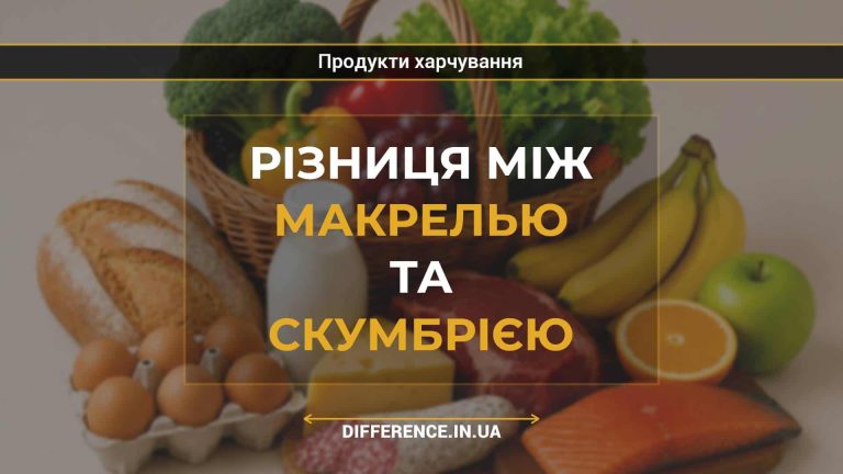 Різниця між макрелью та скумбрією