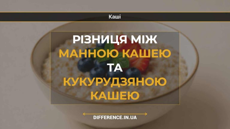 Різниця між манною кашею та кукурудзяною кашею