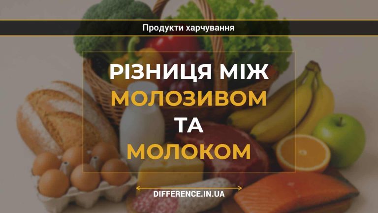 Різниця між молозивом та молоком