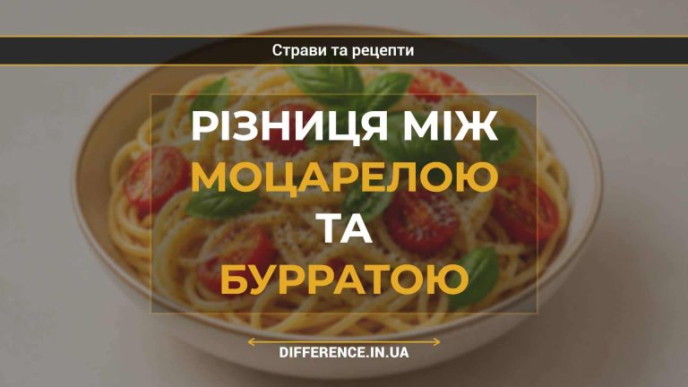 Різниця між моцарелою та бурратою