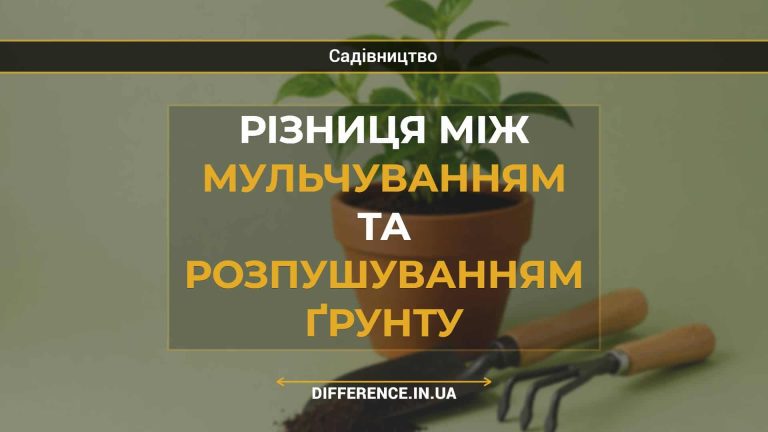 Різниця між мульчуванням та розпушуванням ґрунту