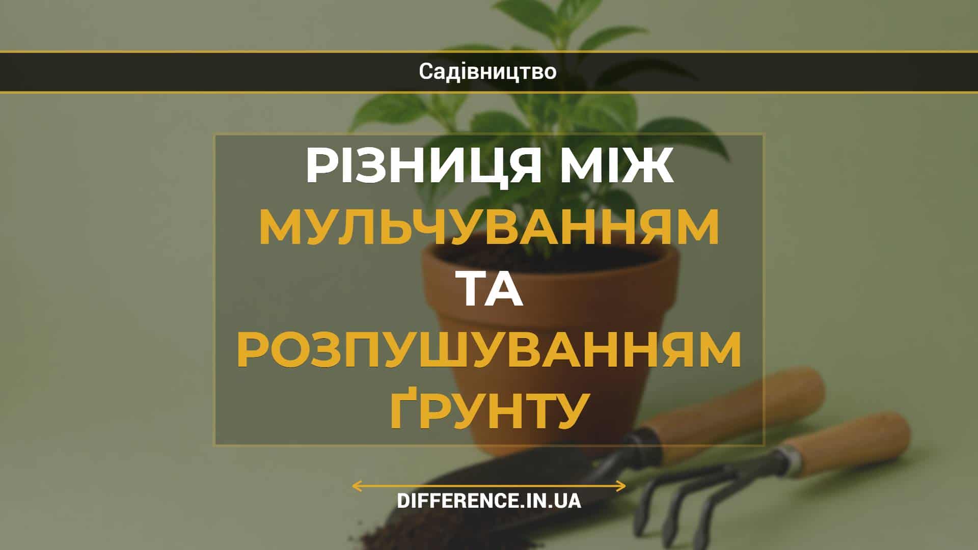Різниця між мульчуванням та розпушуванням ґрунту