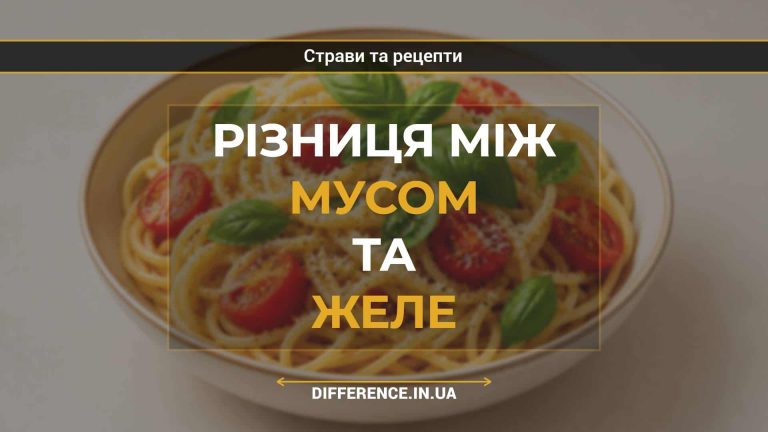 Різниця між мусом та желе